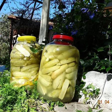 Nar Guest house Olympos